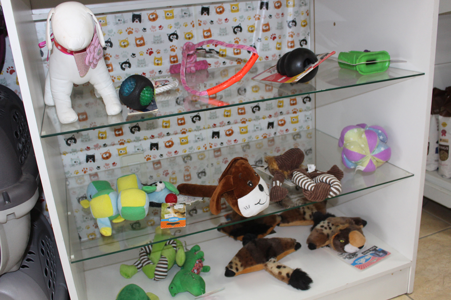 Notre Dame I Pet Shop